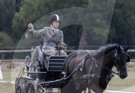 Lady Louise bei den britischen Meisterschaft im Gespannfahren in Ashfields