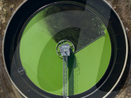 Thames Water Beckton Sewage Treatment Works