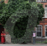 ‘Gift from Grenada’: grapefruit trees win protection after London campaign