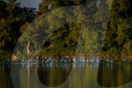 Wildlife At The Oxbow Nature Conservancy 