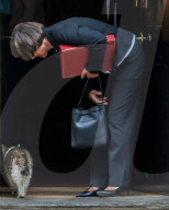 Ministers Attend Cabinet Meeting