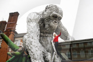 Lisa Roet’s large-scale Great Ape sculptural installation at Royal Geographical Society, London