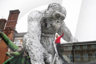 Lisa Roet’s large-scale Great Ape sculptural installation at Royal Geographical Society, London