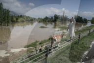 Flood Alarm Sounded In Kashmir As River Jehlum Breaches To Residential Areas 