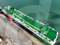 New Energy Vehicle Exports Increase
