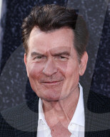 Los Angeles Premiere Of Netflix's 'aka Charlie Sheen' Season 1