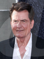 Los Angeles Premiere Of Netflix's 'aka Charlie Sheen' Season 1