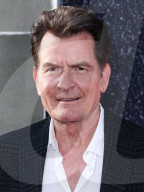 Los Angeles Premiere Of Netflix's 'aka Charlie Sheen' Season 1