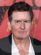 Los Angeles Premiere Of Netflix's 'aka Charlie Sheen' Season 1