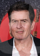 Los Angeles Premiere Of Netflix's 'aka Charlie Sheen' Season 1
