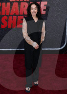 Los Angeles Premiere Of Netflix's 'aka Charlie Sheen' Season 1
