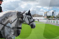 Horses In The City By France Galop