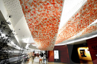 Beijing City Library