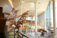 Beijing City Library