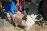 Protesters Marched To The White House