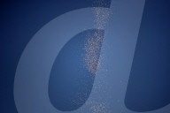 Hamas Israel Conflict