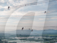 Transmission Lines Inspection