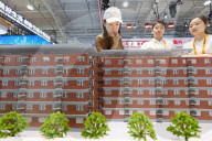 Real Estate Market in China