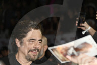 One Battle After Another Red Carpet