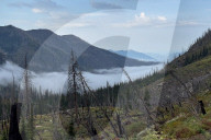 Gunsight Pass Trail Glacier