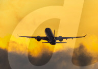Migrant return flights