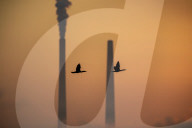 Pollution And Wildlife In Indiana And Ohio
