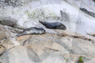 Daily Life In Canada