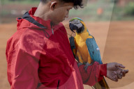 Free Bird Fly Community In Depok, Indonesia