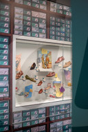 Clarks opens up a shoebox of memories with museum to mark 200th year