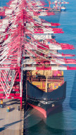 Qingdao Port Route Growth