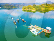 Ecological Fish Supply
