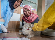 Indonesian Rabies Vaccination To Commemorate World Rabies Day 