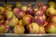 Daily Life Inside A Supermarket