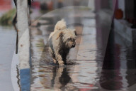 Flooding In Eastern Mexico City Due To Heavy Rains