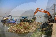 Cleaning Operation To Remove Weeds From Srinagar's Dal Lake