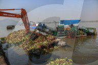 Cleaning Operation To Remove Weeds From Srinagar's Dal Lake