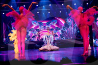 Press Preview of the show Blinded by Delight in Berlin, Germany