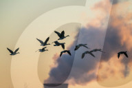 Pollution: Miami Fort Power Plant In Cincinnati, OHIO