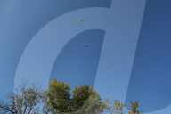 6th Airborne Brigade Day In Krakow