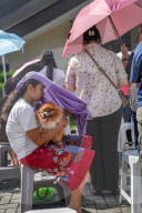 Pet Blessing Ceremony