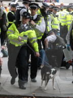 Anti Israel Palestine-Action protest leads to arrests