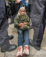 Anti Israel Palestine-Action protest leads to arrests