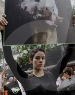 Activists Against The Sale Of Sentient Beings With Black Or White Fur/plumage Demonstrate Outside The Sonora Market On The Eve Of Halloween In Mexico