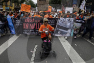 Activists Against The Sale Of Sentient Beings With Black Or White Fur/plumage Demonstrate Outside The Sonora Market On The Eve Of Halloween In Mexico