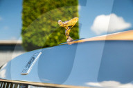 Rolls-Royce tribute to couple's pet dog