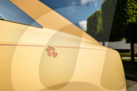 Rolls-Royce tribute to couple's pet dog