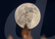 Mid-Autumn Festival Round Moon