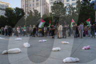 Action In Support Of Palestine