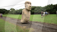 Walking statues of Easter Island theory