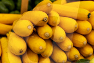 Farmers Market 
